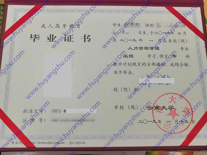 云南大学2019年函授大专毕业证（人力资源管理）