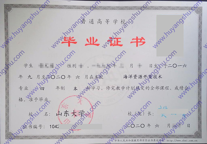 山东大学2020年全日制本科毕业证（海洋资源开发技术）
