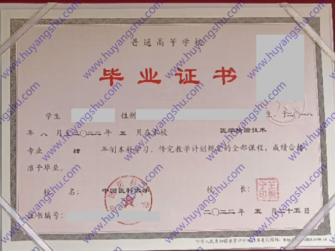 中国医科大学2022年统招本科毕业证书样本（医学检验技术）