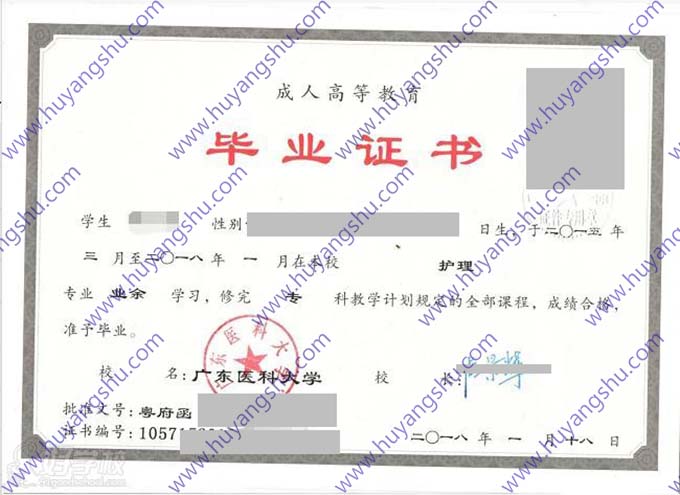 广东医科大学历届毕业证学位证样本图片
